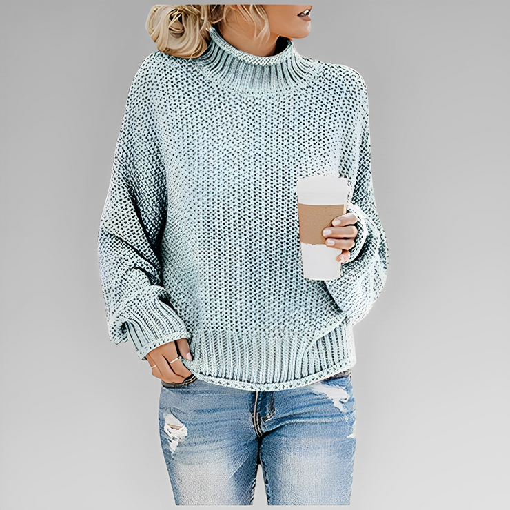 Schickes Komfort Rollkragenpullover